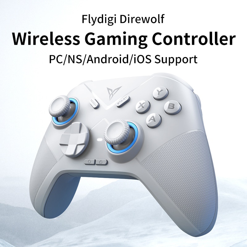 Flydigi Direwolf Wireless/Wired 2 Version Gaming Controller Support PC