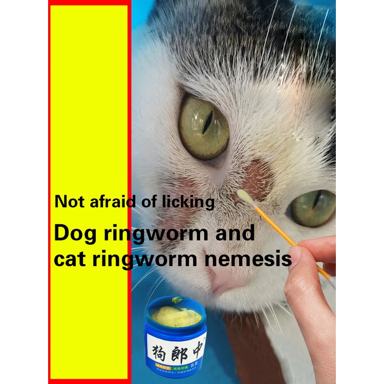 Antiitch ointment Dog skin disease topical ointment fungal infection antipruritic antibacterial