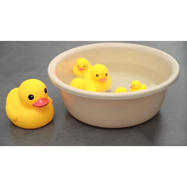 Squeaky duck outlet sound