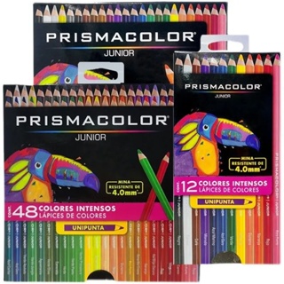 Prismacolor Pastel Colored Pencils, Brilliant Colors, Set of 24, Junior  4.0mm