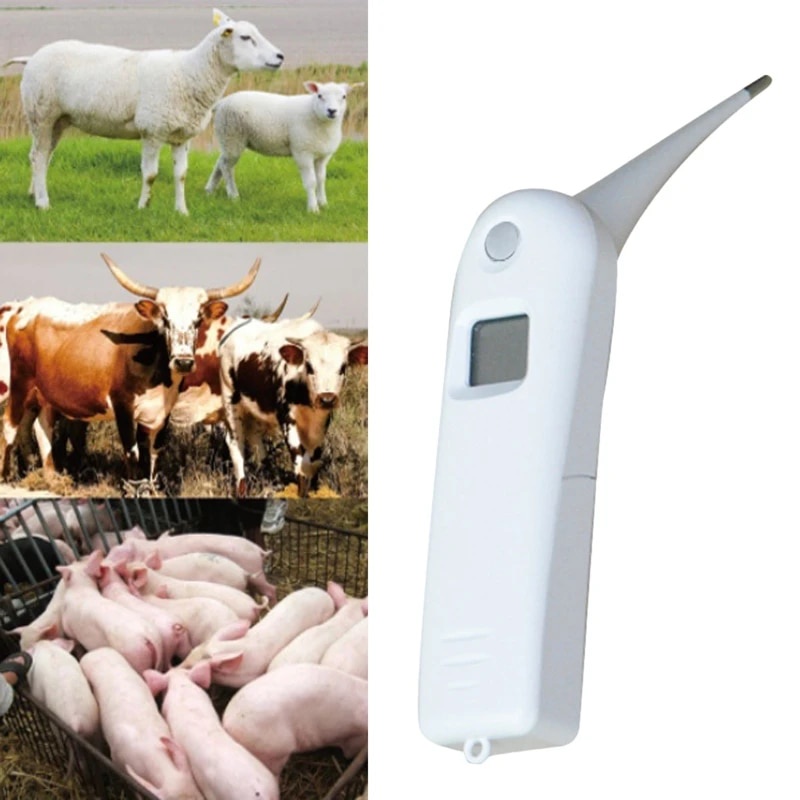 ⓥPet Thermometer Fast Digital Veterinary Thermometer for Dogs Cats