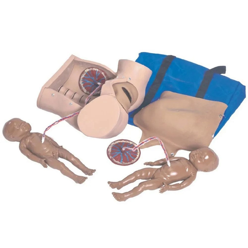 Delivery Mechanism Demonstration Simulator,Childbirth Skills Training ...