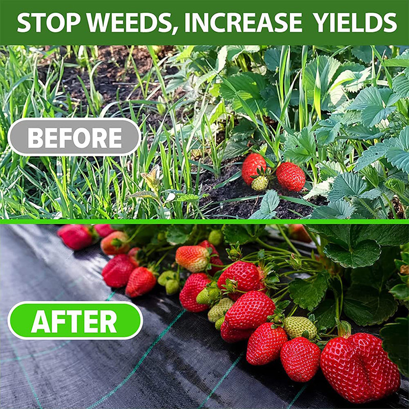 Anti-weed Mesh Geotextile For Weed Control Anti-weed Mesh Agricultural ...
