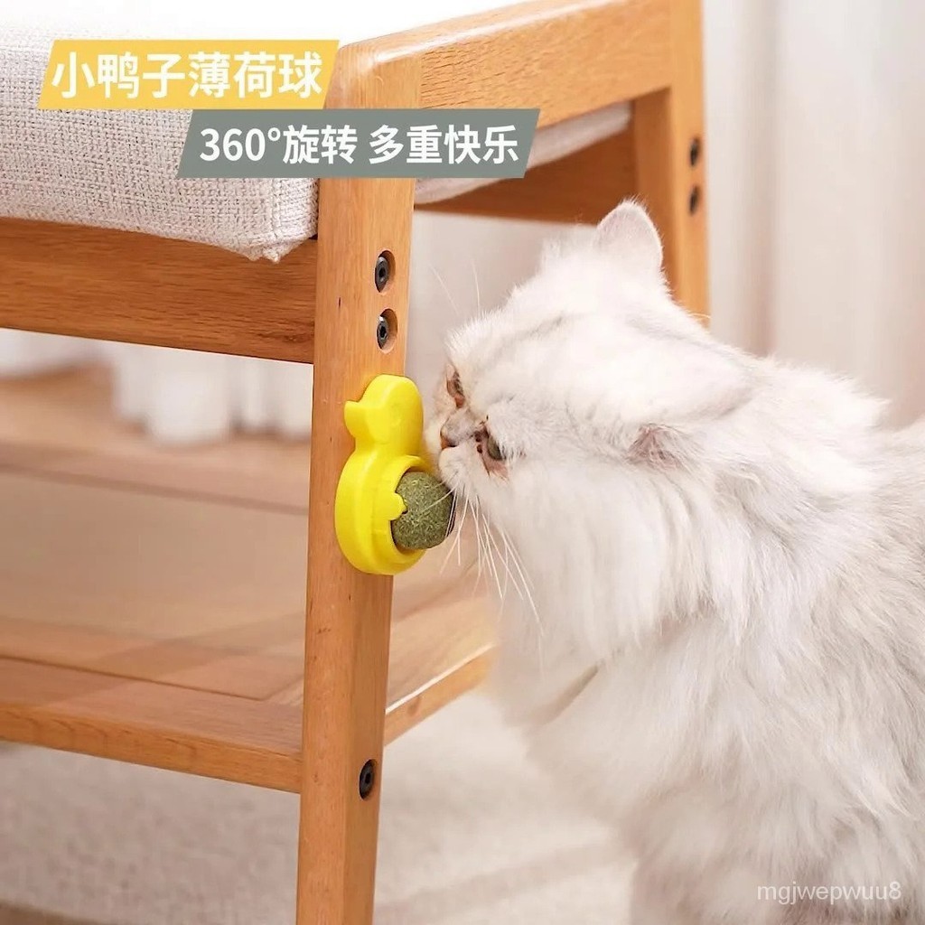 Duck Spinning Mint Ball For Cat Safe Healthy Snacks Natural PlantBased