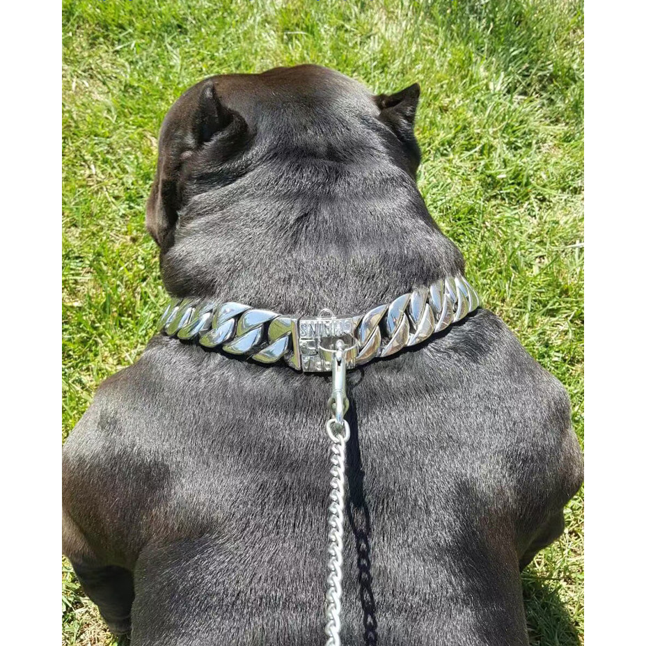 ⊹Metal Stainless Steel Dog Collar Pet Steel Chain Bully Dogs Large Dog ...