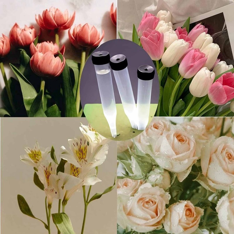 Pack Of 100 Plastic Flower Tubes Transparent Water Tube For Flowers ...