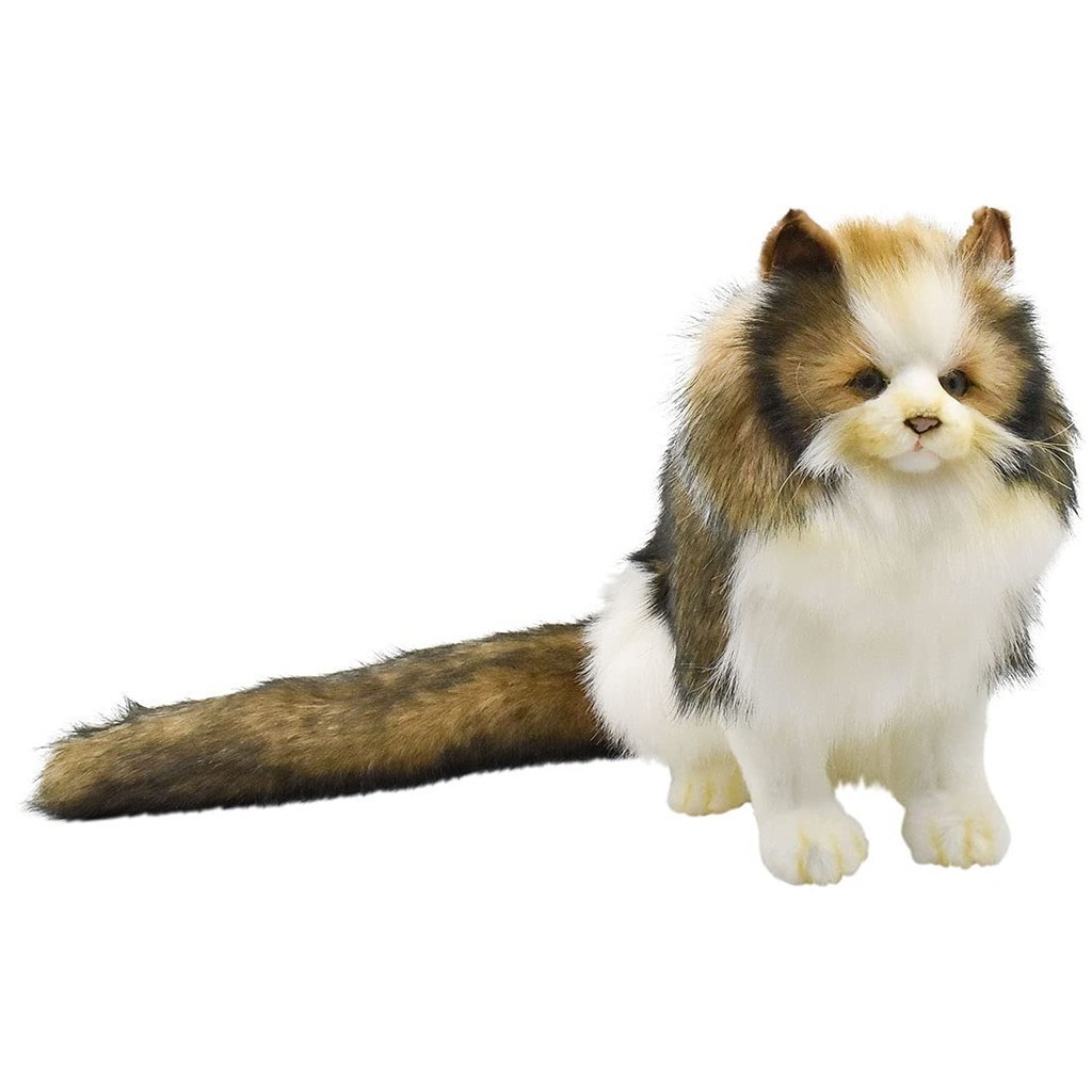 BH8154 HANSA Norwegian Forest Cat 35Direct From JAPAN Shopee Philippines