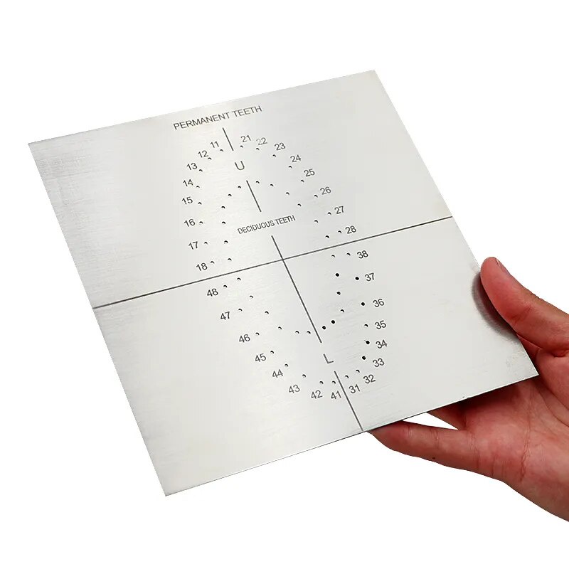 Dental Stainless Steel Rubber Dam Punch Template Endodontic Puncher