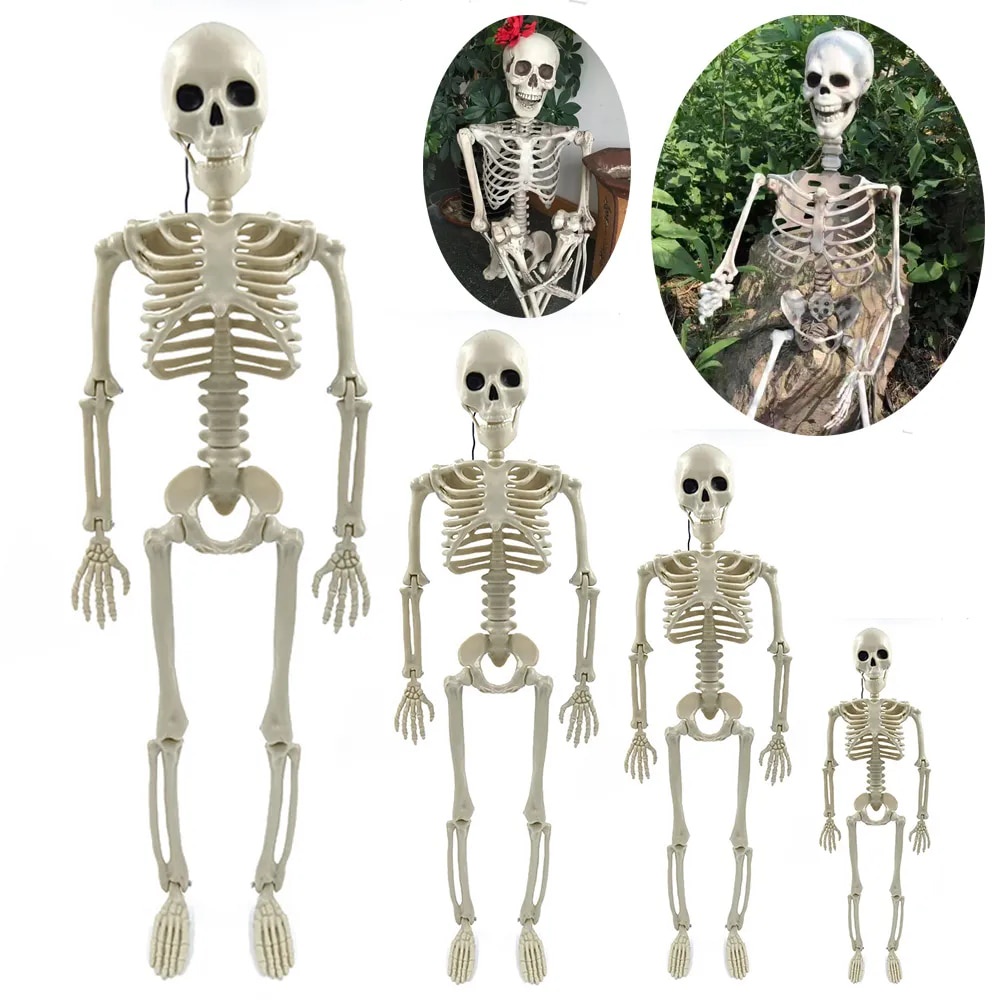 Full Life Size Human Skeleton Halloween Prop 90CM Haunted House Hanging