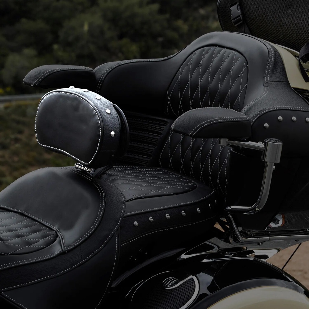 ⋛Panical Quick Release Backrest Pad Sissy Bar For Indian Chieftain
