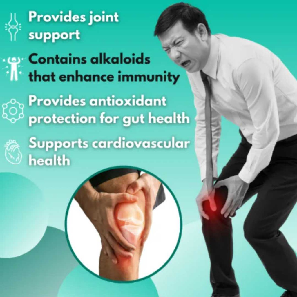 Dr. Vita CHONDROITIN with Collagen and Magnesium 500mg x 30 capsules Bone & Joint Support