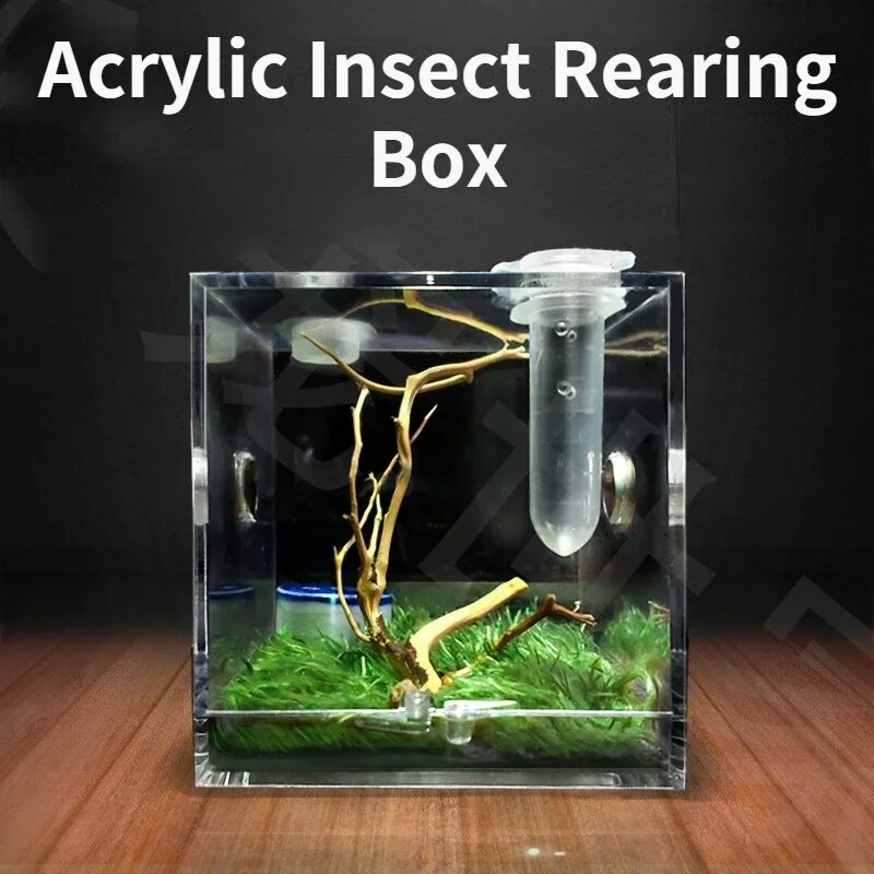 Small Reptiles Breeding Box Clear Acrylic Cage Habitat Insect Feeding ...