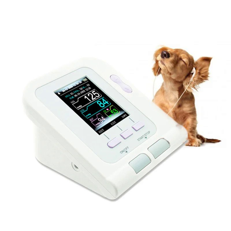 YSBP80V Veterinary sphygmomanometer / Veterinary blood pressure monitor