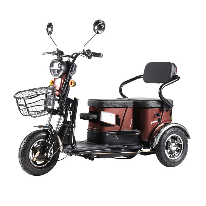 ♨Smart Enclosed Tricycles Three Wheel Adult Electric Tricycle For ...