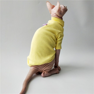 Sphynx Cat Clothes Cat Clothes Spring Summer Cat Apparel Naked Cat