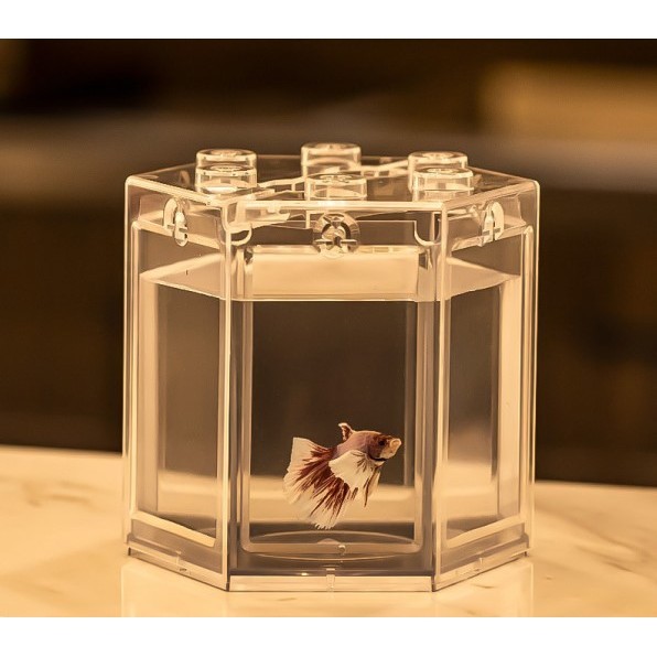 Curated visual reference: Picture Idea: Aquarium Mini Fish Tank Goldfish Betta Desktop Table Building Small