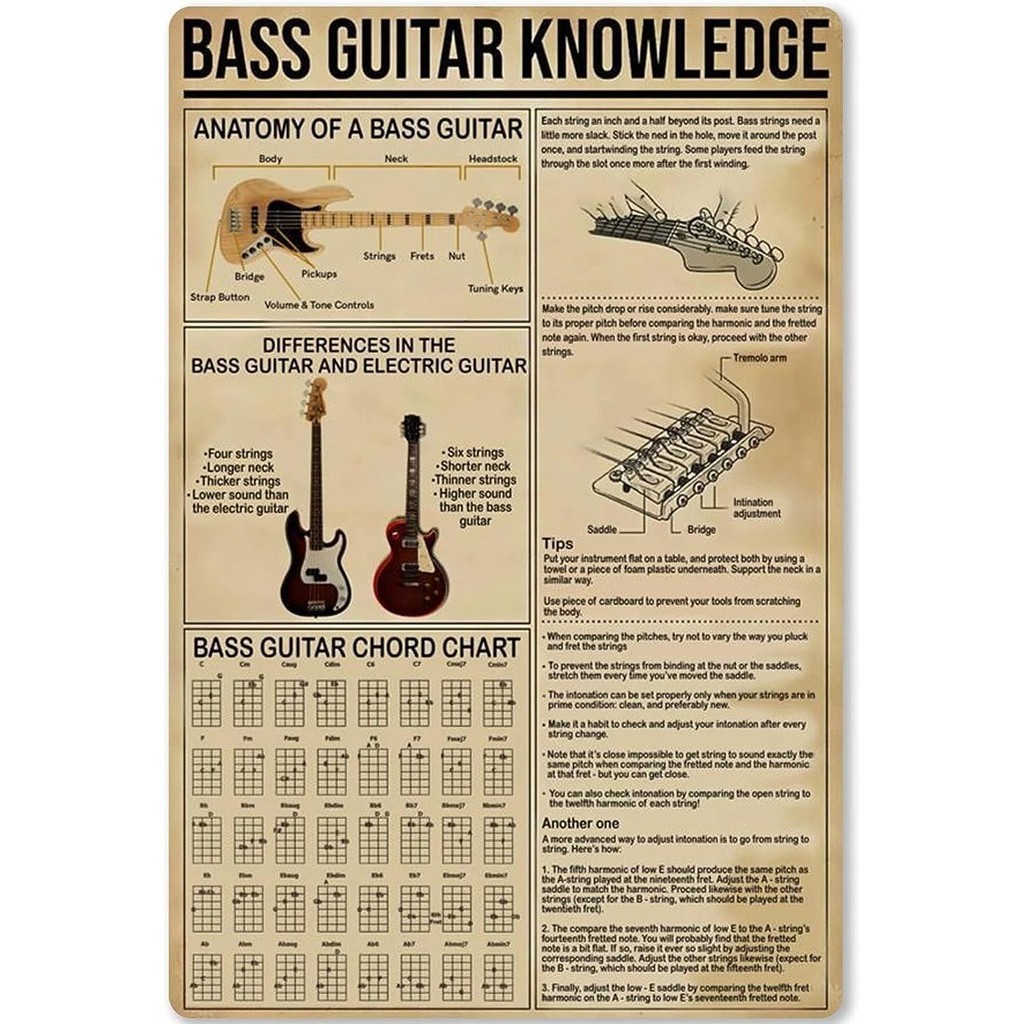 Bass Guitar Knowledge Metal Sign Bass Guitar Chord Notes Tin Poster ...