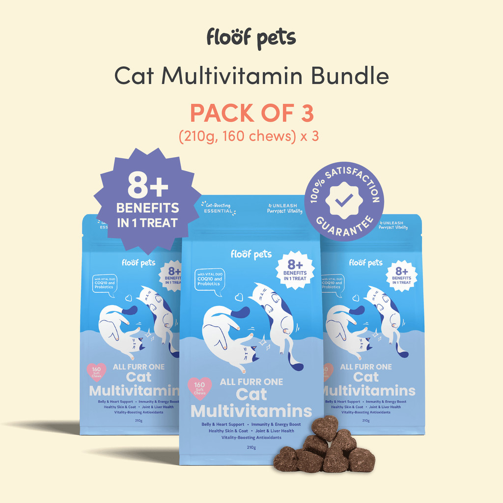 Floof Pets 8 in 1 Cat Multivitamin Supplements Bundle of 3 (210g ...