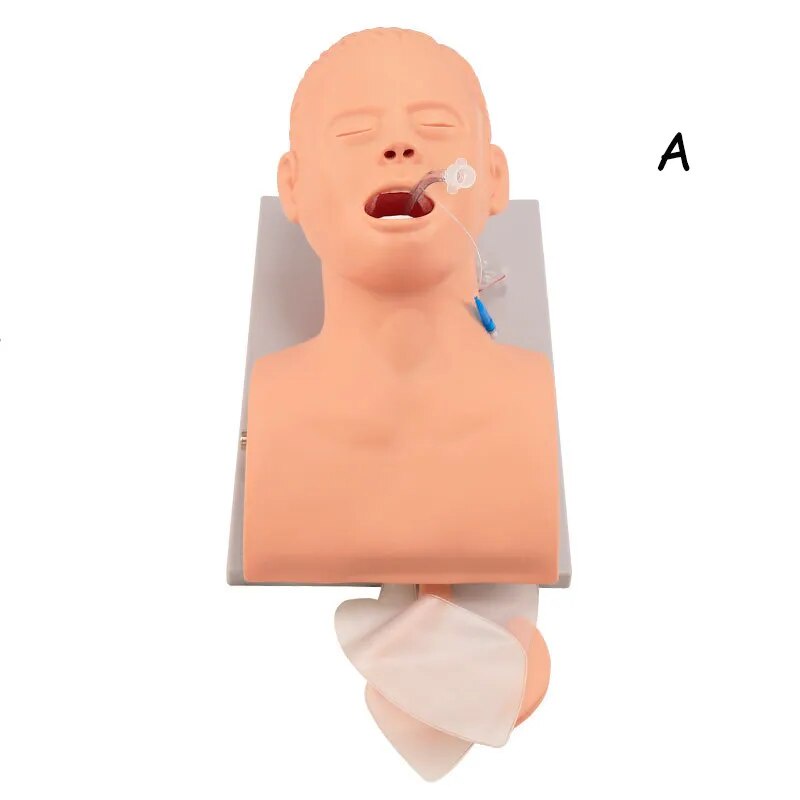 PVC Adult Intubation Manikin Teaching Model, Airway Management Trainer ...