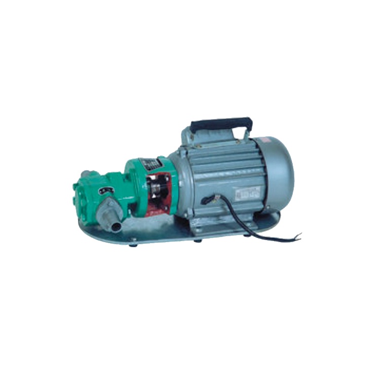 WCB Series Micro Gear Oil Line Pump Electric 220V Mighty Small Electric