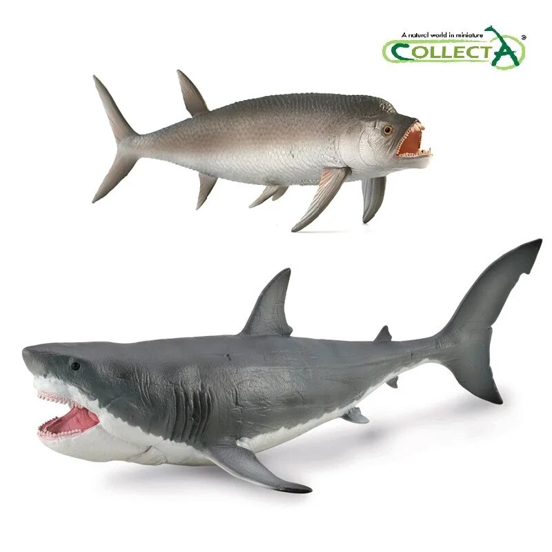 10t Collecta Sea Life Megalodon Shark With Movalbe Jaw Classic Toys For ...