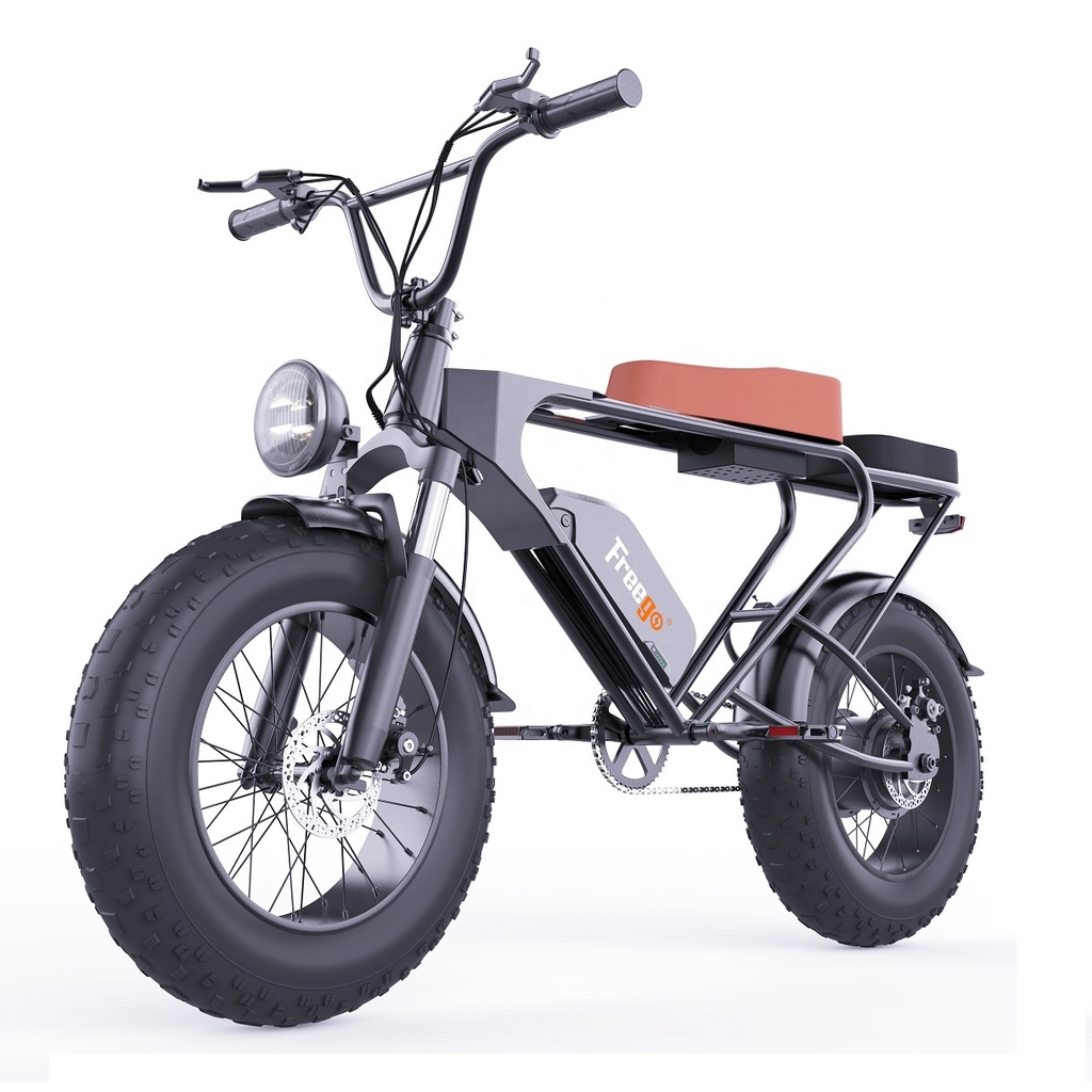 Fast Speed 2 Seat Electric Fat Tire Hybrid Mountain Sport E Bike Bicycle 1200W 20Ah Motorcycles