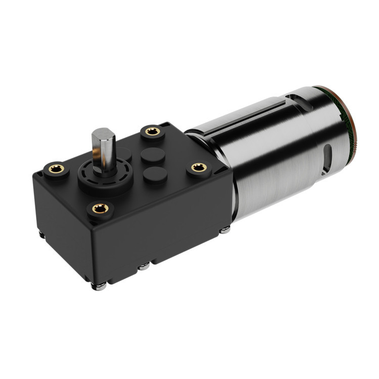 Zhaowei high torque worm gear motor 30rpm 1000 Rpm 12V 24V Dc Brushless ...