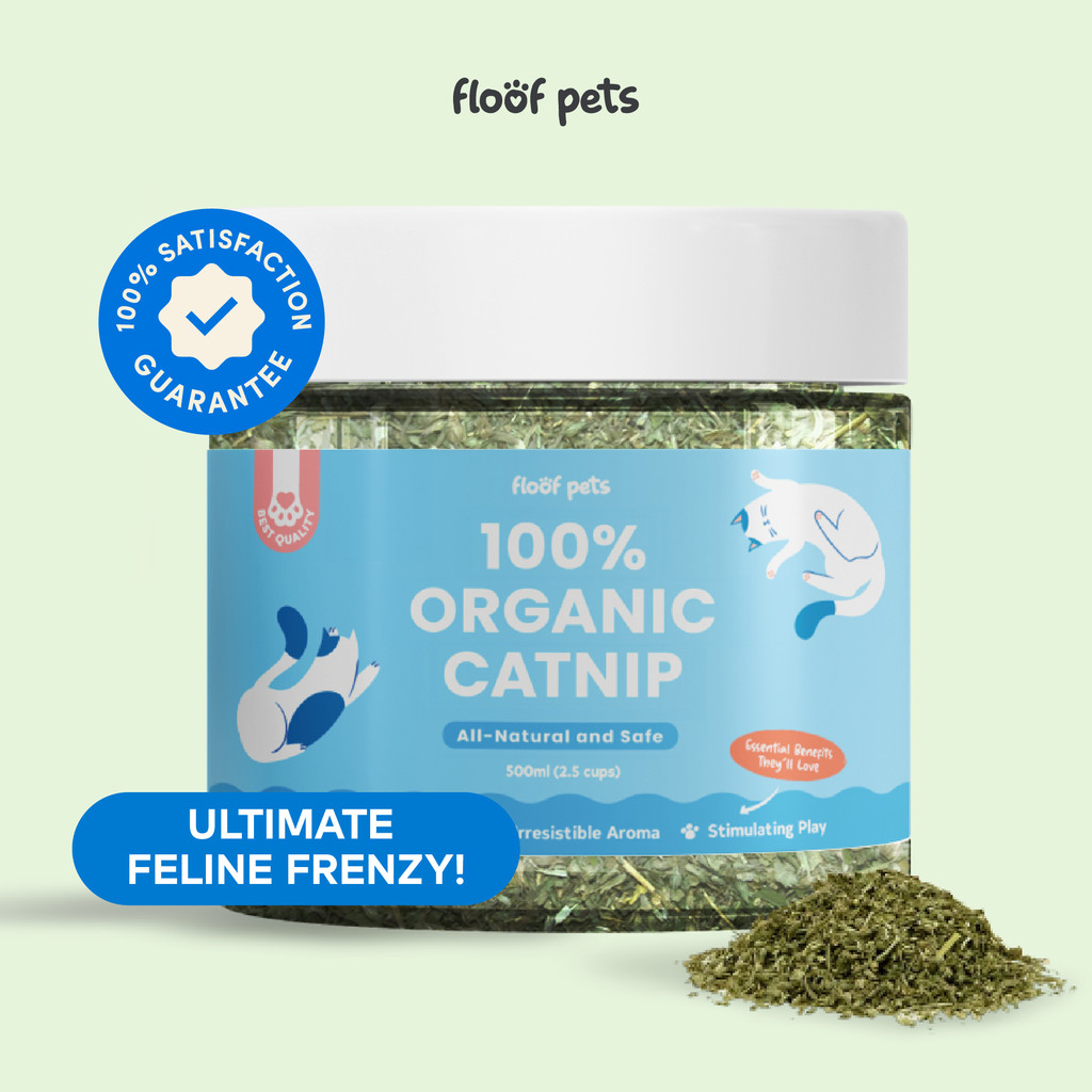 Floof Pets 100% Organic Premium Catnip 500ml Jar | All Natural Potent ...