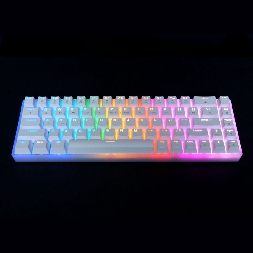 SHG GARUDA GEAR GG68B (ICE WHITE) TriMode Wireless, Hot Swappable, 65