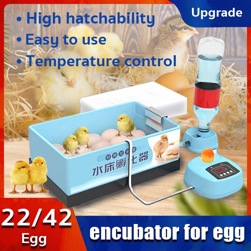 CODSpotEgg Incubator Thermostat for egg incubator 2242 Eggs Family Egg