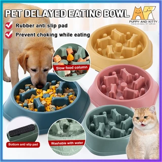 Shop dog feeder for Sale on Shopee Philippines