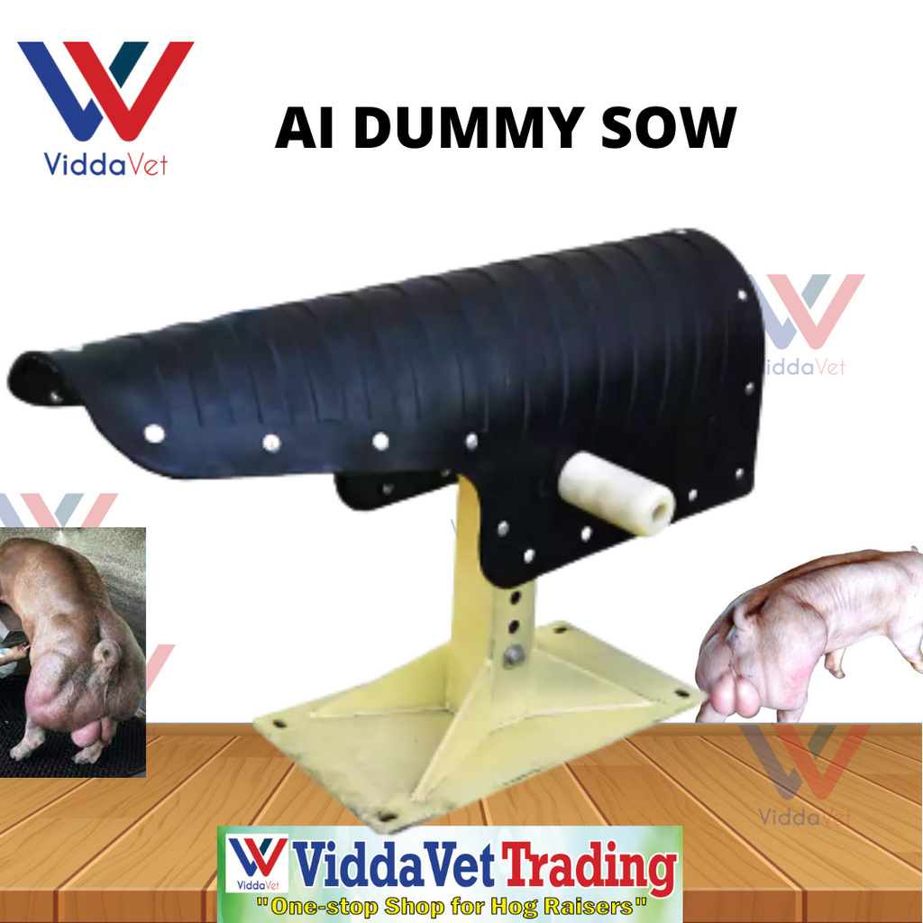 quality goods animal Pet sow pigboar AI sow insemination AI for