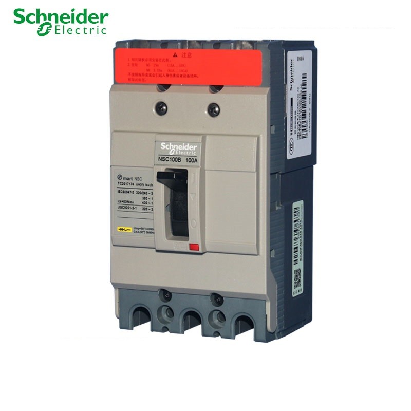 ⋌Schneider electric MoldedCase Circuit Breakers Switch MCCB NSC100B