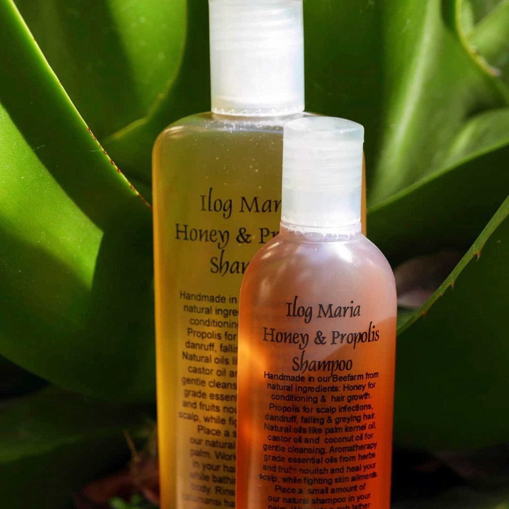 Ilog Maria Honey & Propolis Shampoo 265mL Shopee Philippines
