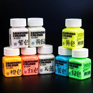 Outdoor Acrylic Paint Glow in the Dark Paint Art Supplies for Rock