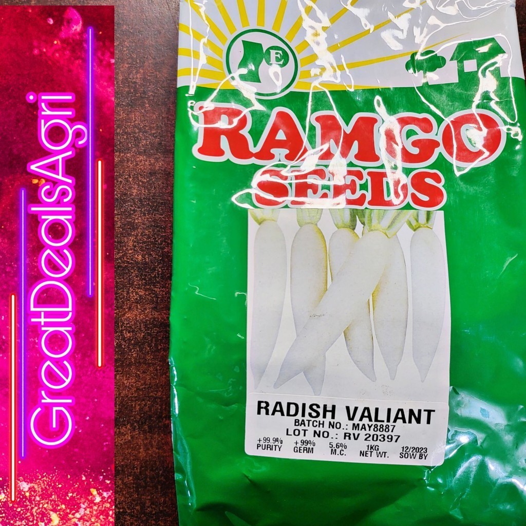 quality goods KILO SEEDS RADISH SEEDS RAMGO VALIANT OPV | Shopee ...