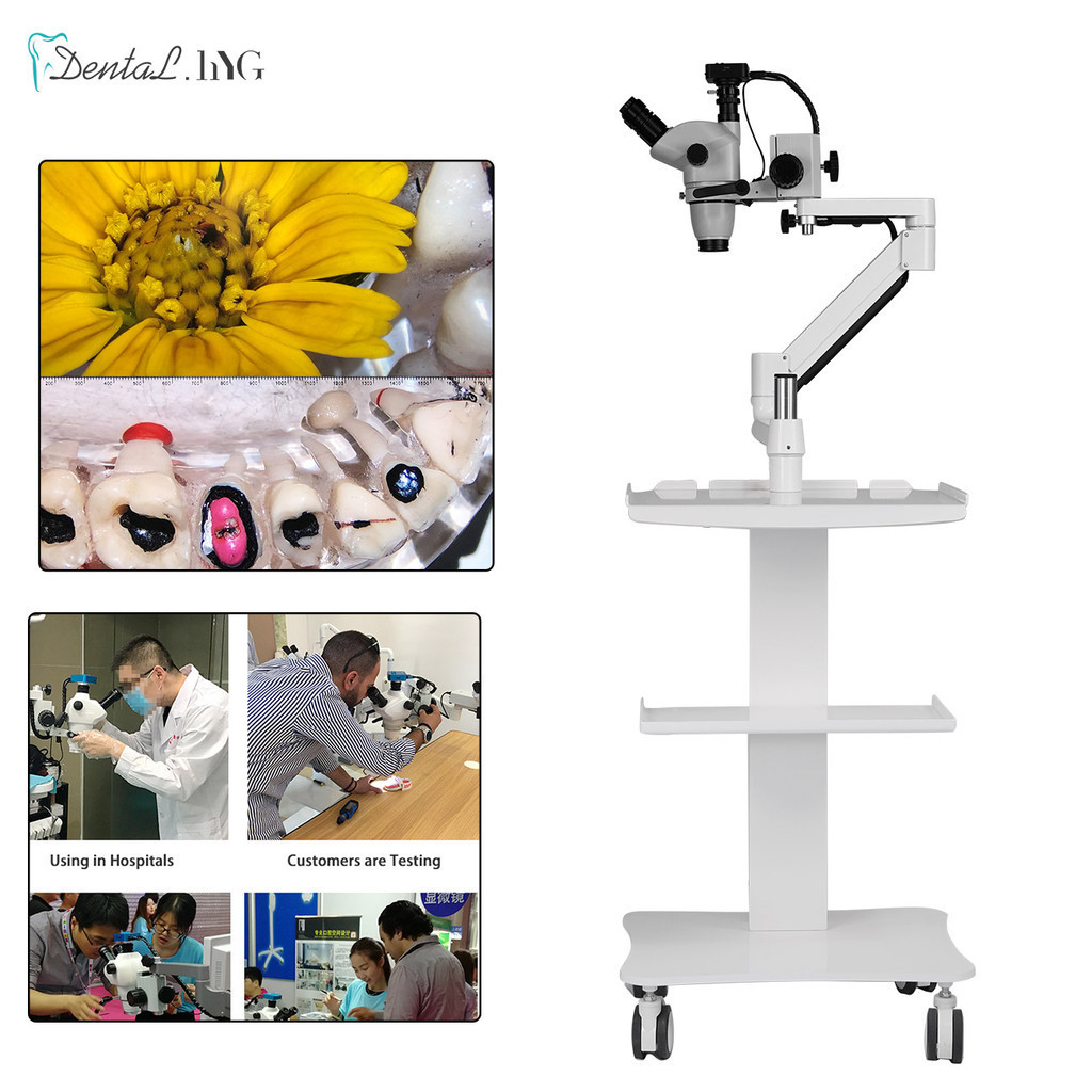 Dental Root Canal Microscope Portable Surgical Microscope Endodontic
