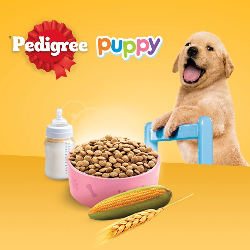 Pedigree labrador puppy food hot sale