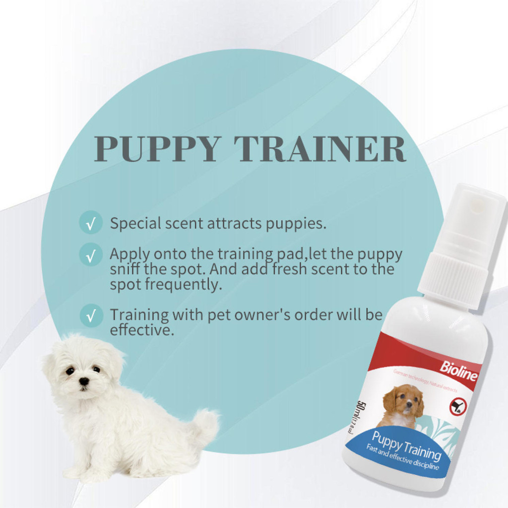 Potty training dog trainer