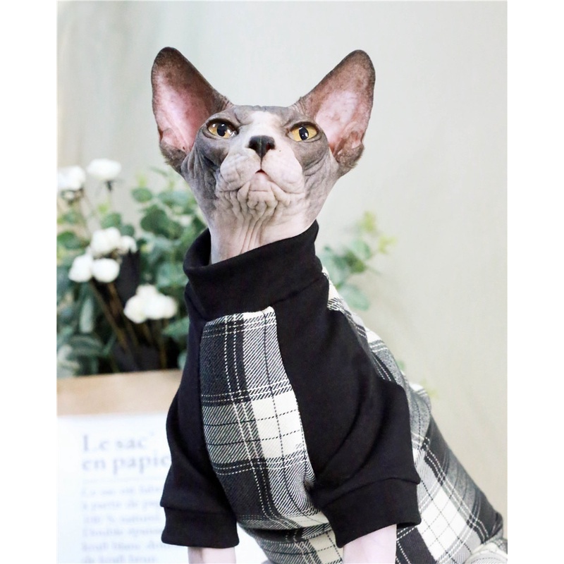 Sphynx Cat Clothes Outfits Sphynx Cat Wearing Clothes Sphynx C