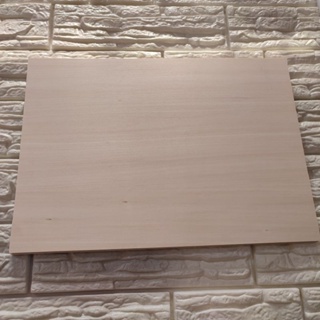  20PCS Basswood Sheets 12x12 Inch Unfinished Square