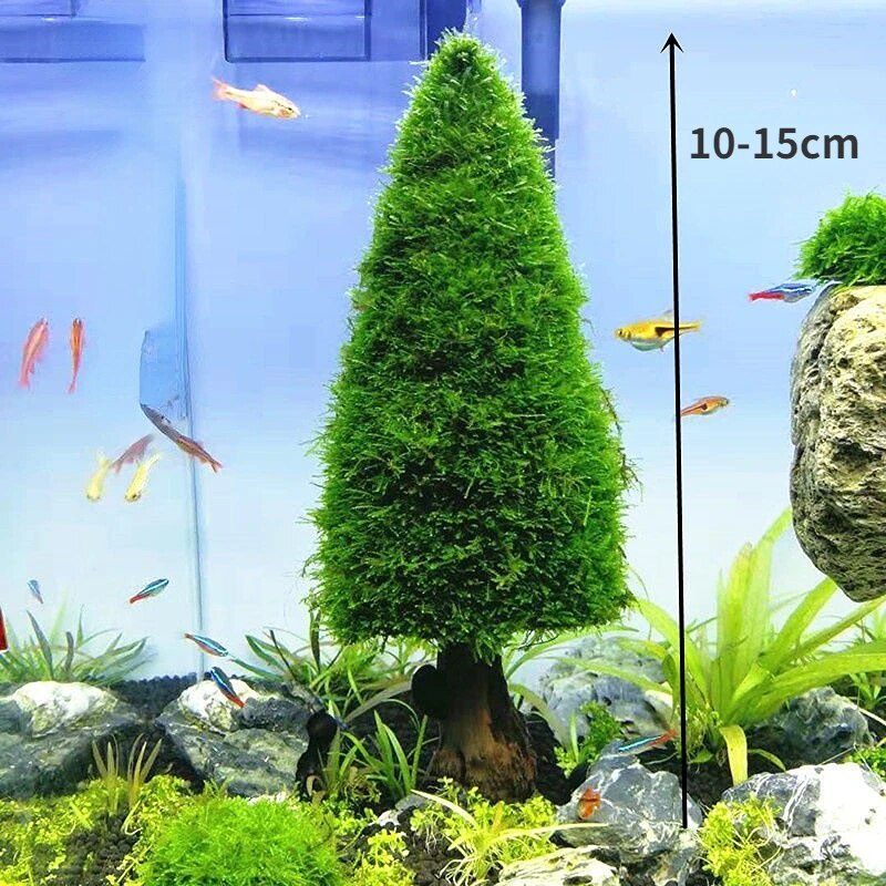 872 Aquarium Decoration Aquatic Plants Moss Tree Pine Tree Christmas