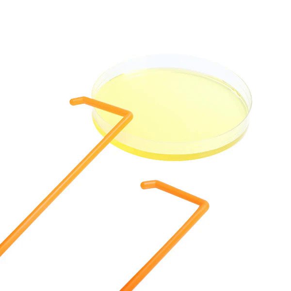 L shape disposable cell spreader bacteria wide spreading bar for