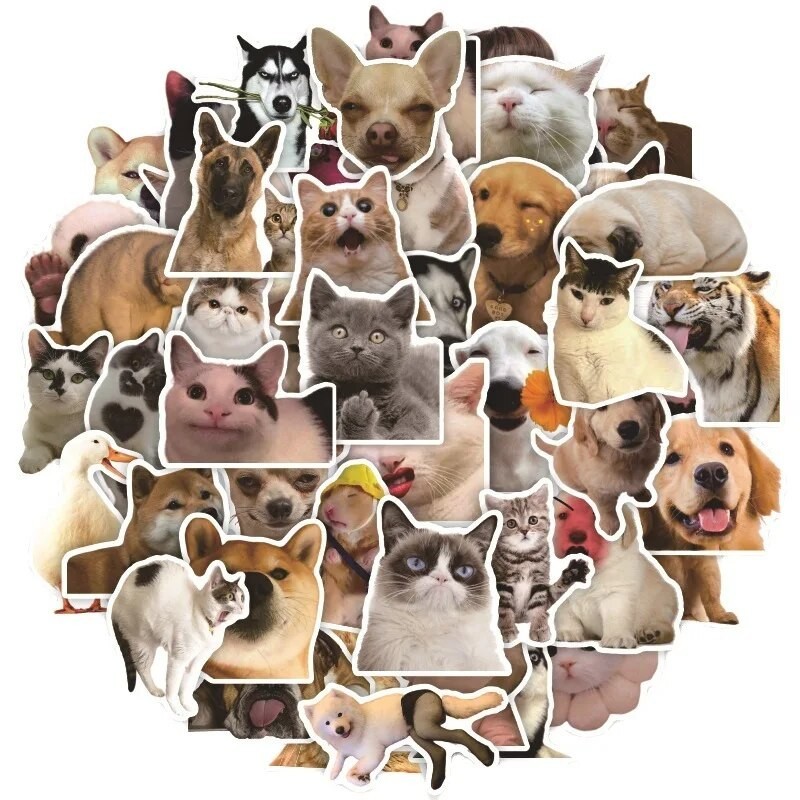 51Z 10/30/50pcs Mix Animal Cat Meme Graffiti Stickers Kids Toy ...