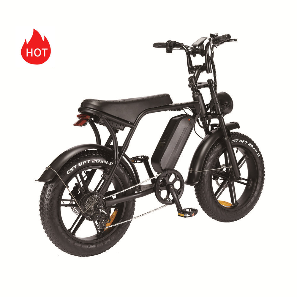 2 Camere D’Aria Per Bici 20 X 3.0/3.50 – Gomma Butilica Con Valvola Schrader – Per E-bike Fat E Beach Bike