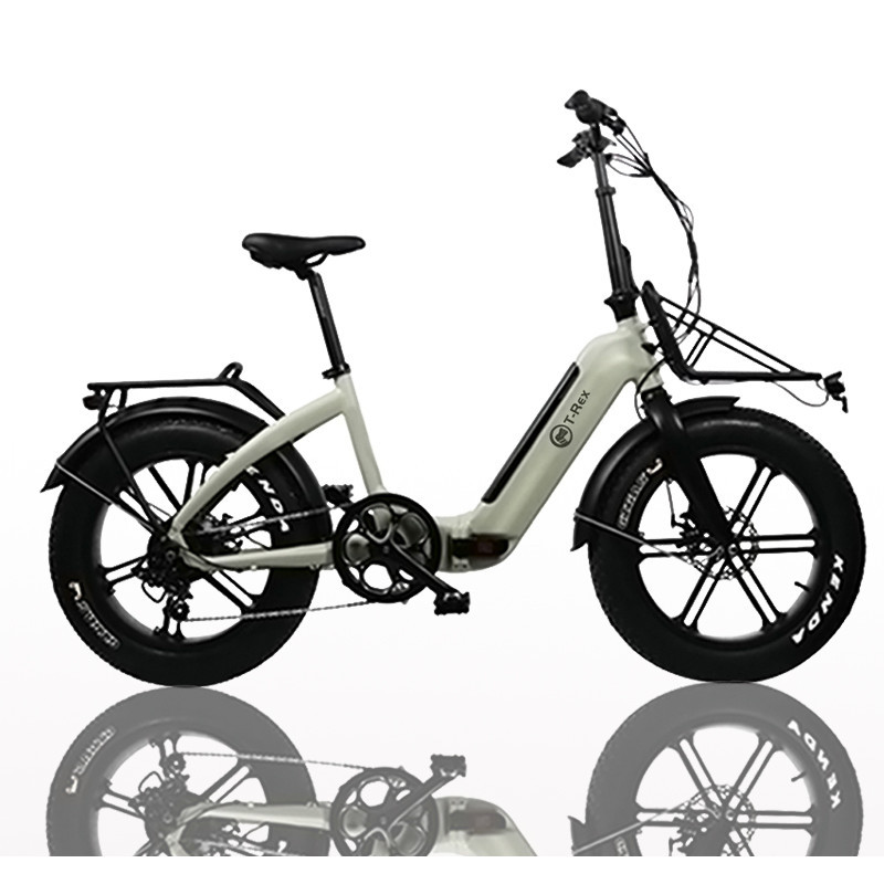 mini fat bike