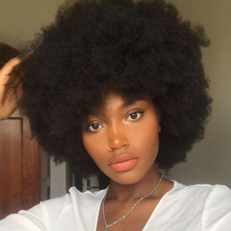 Rebecca Afro Wig Women Short Fluffy Hair Wigs For Black Women Kinky ...