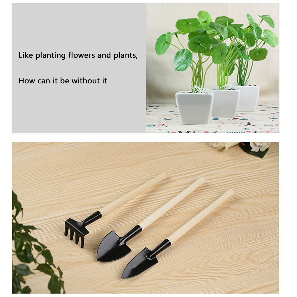 3Pcs Shovel Rake Spade Set Small Rake Shovel Spade Multifunction Bonsai ...