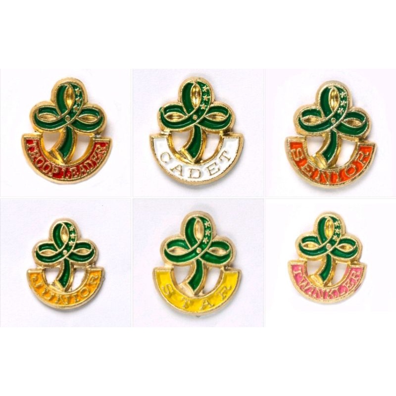GSP PINS (twinkler, star, junior, senior, cadet,troop leader pin, WORLD