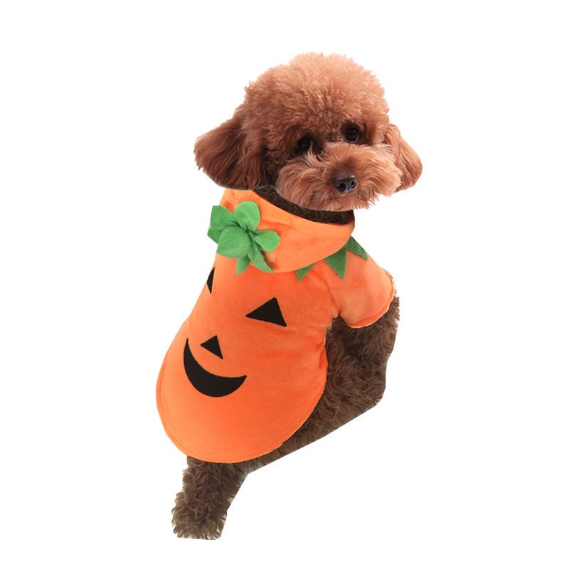 Halloween Pumpkin Dog Clothes Winter Clothes Pet Costumes Small
